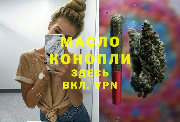 ECSTASY Богданович